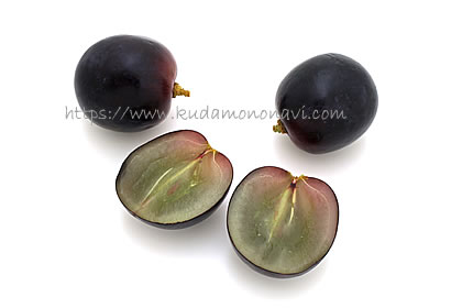 アドーラ・シードレス（オーストラリア産）