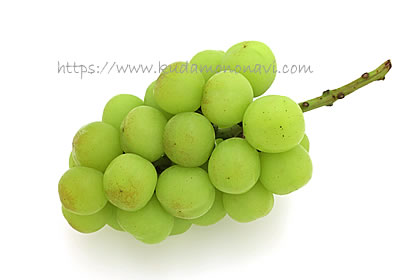 カッタクルガン