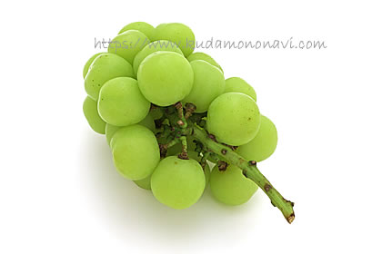 カッタクルガン