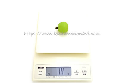 カッタクルガン