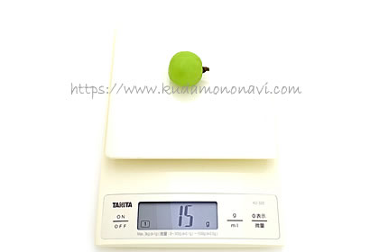 カッタクルガン