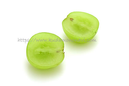 カッタクルガン