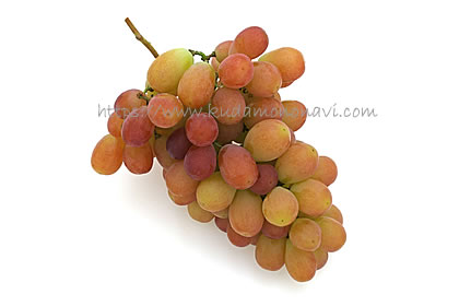 サンシャインレッド