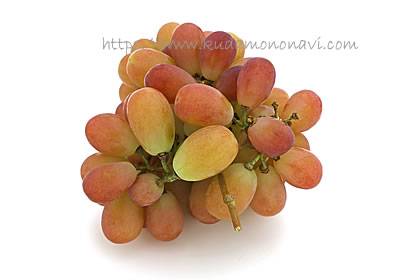 サンシャインレッド