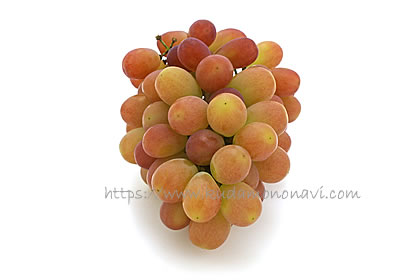 サンシャインレッド