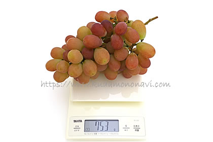 サンシャインレッド