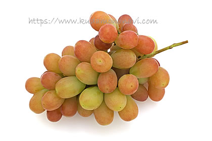 サンシャインレッド