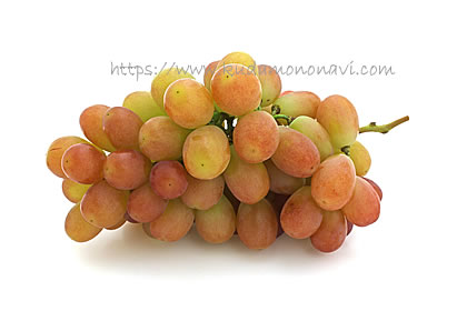 サンシャインレッド