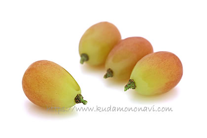 サンシャインレッド