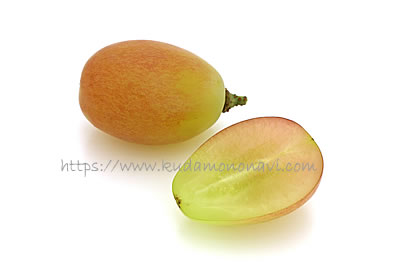 サンシャインレッド