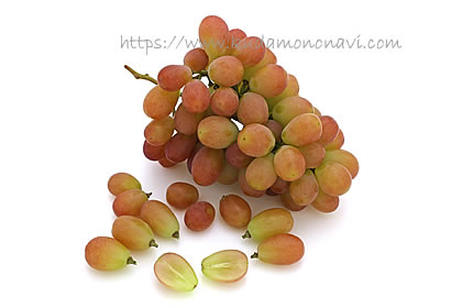 サンシャインレッド