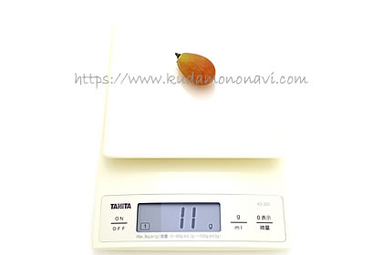 サンシャインレッド