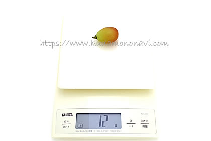 サンシャインレッド