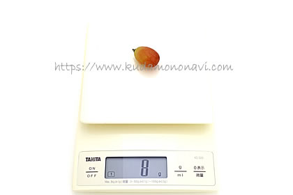 サンシャインレッド