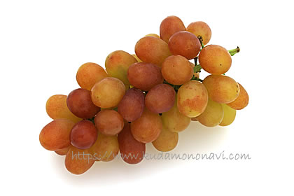 ヌーベルローズ