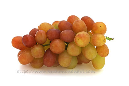 ヌーベルローズ