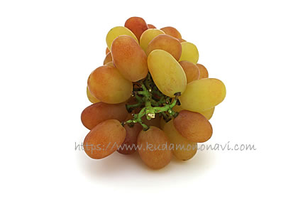 ヌーベルローズ