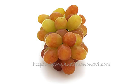 ヌーベルローズ