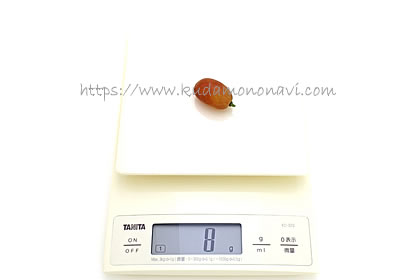 ヌーベルローズ