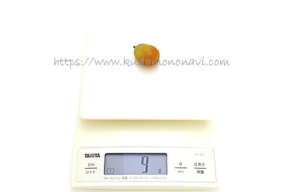 ヌーベルローズ