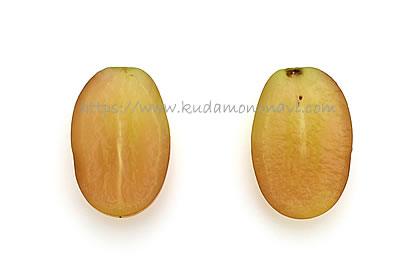 ヌーベルローズ