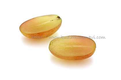 ヌーベルローズ