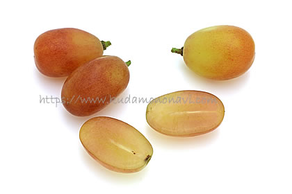 ヌーベルローズ