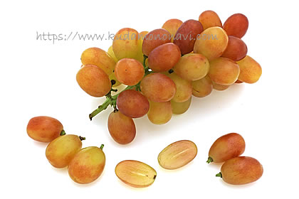 ヌーベルローズ