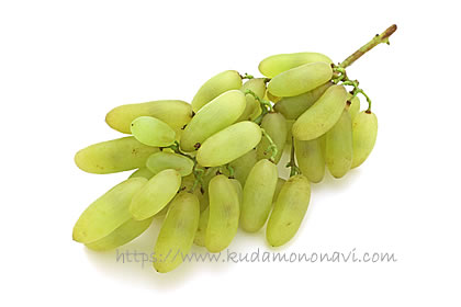 ベージャーガン