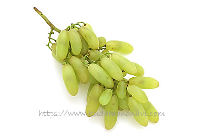 ベージャーガン