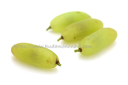 ベージャーガン