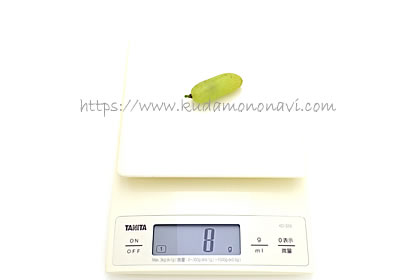 ベージャーガン