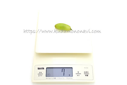 ベージャーガン