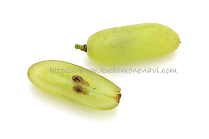 ベージャーガン