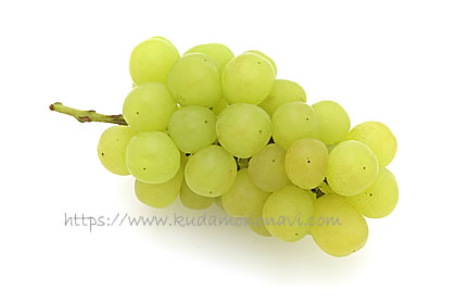 マスカサーティーン