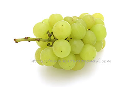 マスカサーティーン