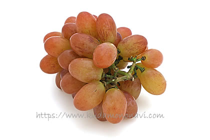 マドンナの宝石