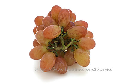 マドンナの宝石