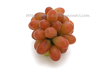 マドンナの宝石