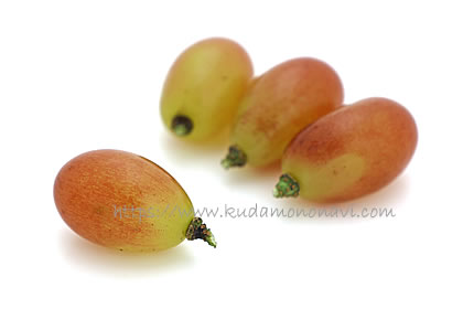 マドンナの宝石