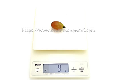 マドンナの宝石