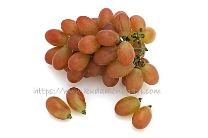 マドンナの宝石