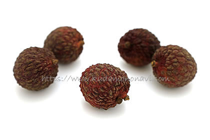 仙進奉（中国産）