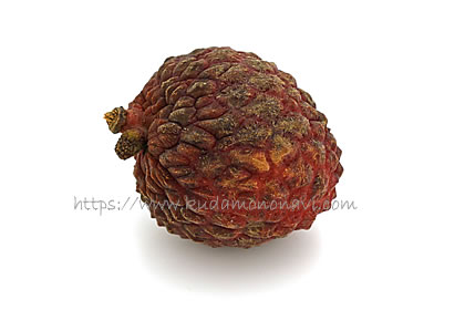 仙進奉（中国産）