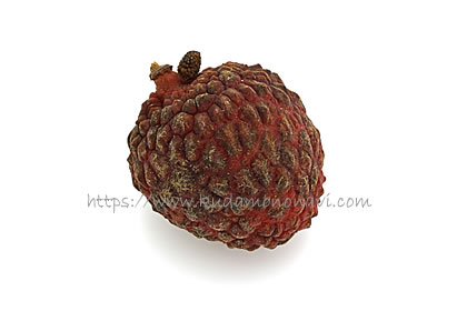 仙進奉（中国産）