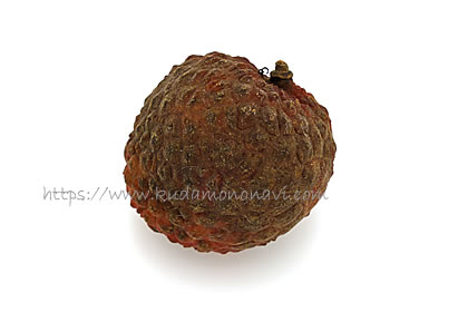 仙進奉（中国産）