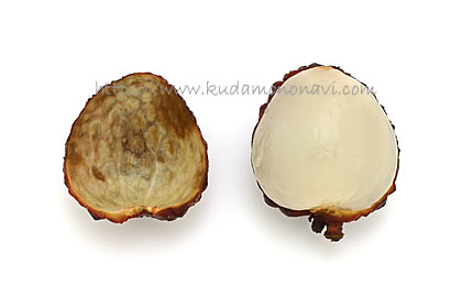 仙進奉（中国産）