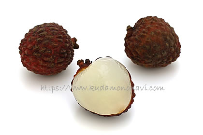 仙進奉（中国産）