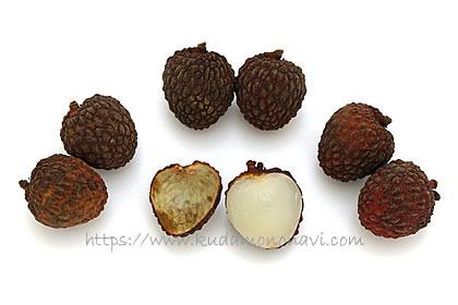 仙進奉（中国産）