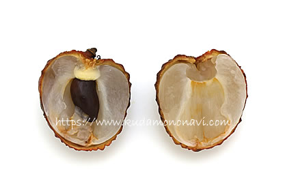 仙進奉（中国産）